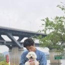 한강켄넬 이미지