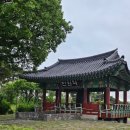 낙동강체육공원 인라인스케이트장, 게이트볼장 | 안산나들이 산책코스 화랑유원지 해당화가 곱게 핀 화정천길