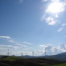 이슬목장 이미지