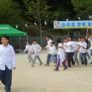 묘곡초등학교 Daum카페