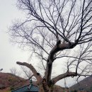 느티나무회관 이미지