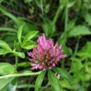 충청남도 공주시청 이미지