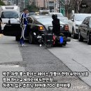 역대급 눈물나는 딸배 접촉 사고 이미지