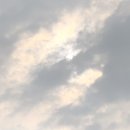 아젤리아까페