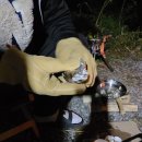 돌집야영장 이미지