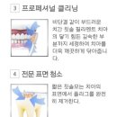 [공지] STK 몰 신기템 [9041] 포에버 친환경칫솔
