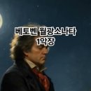 베토벤 피아노 소나타 1악장 이미지