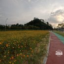 연양체육공원 이미지