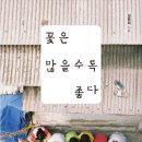 작가와 함께 생생 글쓰기 이미지