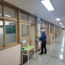 벌레잡는총각들방역