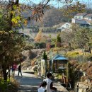 팜스퀘어 하늘타리 이미지