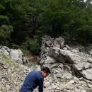 이두수 농장 이미지