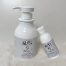 바디브이에스바디 이미지