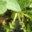 주형농장 이미지