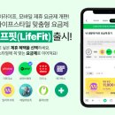 라이프핏