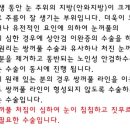 더봄의원 이미지