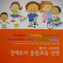 도서6- 장애유아통합교육전락 이미지