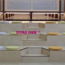 정목초교 이미지