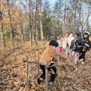 심항산 숲체험 마지막시간 [겨울을 기다리는 숲🍂] 이미지