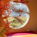 트립인(Trip inn) 이미지