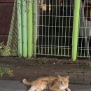 아이센스리그PC방 역곡역점 이미지