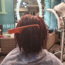 월영동204 | 마산 월영동 미용실 복구매직 이정도는 되어야지.