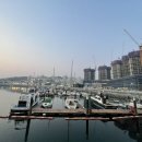 웅천남7로 | 여수 요트투어 프라이빗 페가소스 요트 19시 후기 이순신마리나 야경 코스 완벽 정리 여수여행 내돈내산