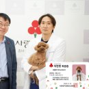 충남1호 대전일보