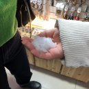 강혁목장 | [강원도/강릉] 21.1.15 드디어 떠나는 강원도 여행 / 횡성휴게소,빌리엘리어트