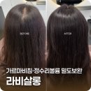 [서울대입구역] 라비살롱 가르마비침 정수리볼륨 밀도보완 링거펌 후기
