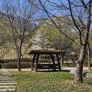 맑은물 사업소 옆 공원 | 인천 봄에 가볼만한곳, 월미공원과 한국전통정원