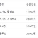 힐링페츠동물병원 이미지