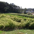 원준농장 이미지