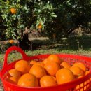 야베스의 집 이미지