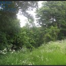 검정보건진료소 이미지