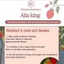 새김천농업협동조합 이미지