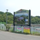 가평뒷동산길 이미지