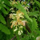 수연플라워 이미지