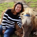 강정하우스 이미지