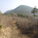 작곡재 좌측 네이버블로그