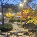 포레스트리솜 이미지