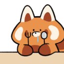 강원도손두부칡냉면 이미지