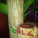 느티나무치과의원 이미지