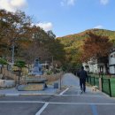 메르시 애견 펜션 이미지