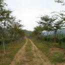 시헌농장 이미지