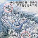 대림벌목