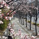 광교산공영자전거대여소(버스종점) 이미지