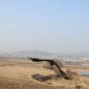 충청북도동물위생시험소 이미지