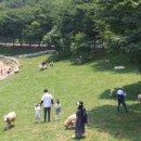 축산농장 이미지