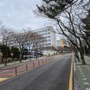 동아대학교 석당글로벌 하우스 | 예비글로컬대 방문1-벚꽃으로 유명한 대학 동의대학교